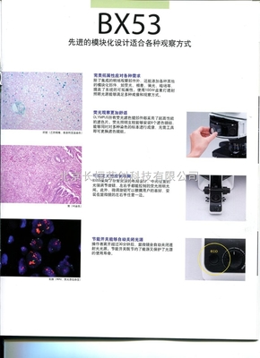 BX53T-32F01三目显微镜 奥林巴斯精密工艺的最佳选择